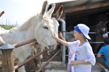 Tierisches Papa Kind Erlebnis